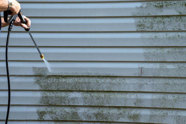 Best Storm Damage Siding Repair  in Parkersburg, WV